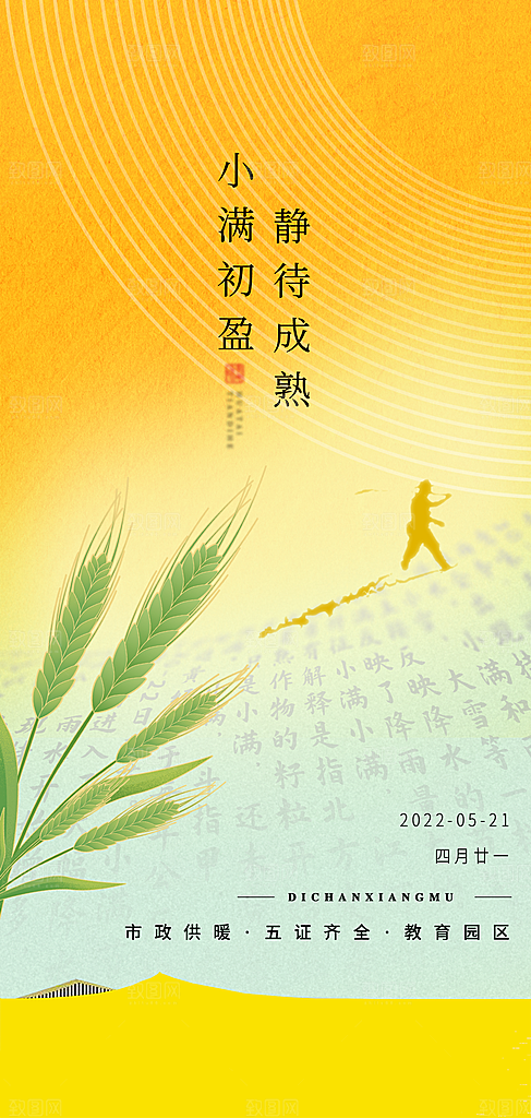 小满节气小满海报