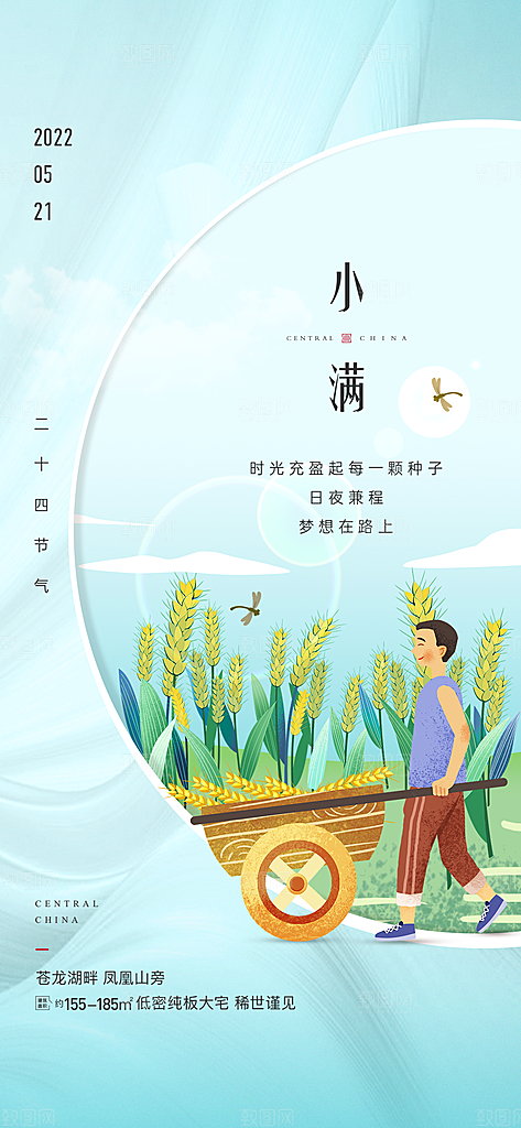 小满节气小满海报