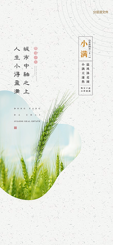 小满节气小满海报
