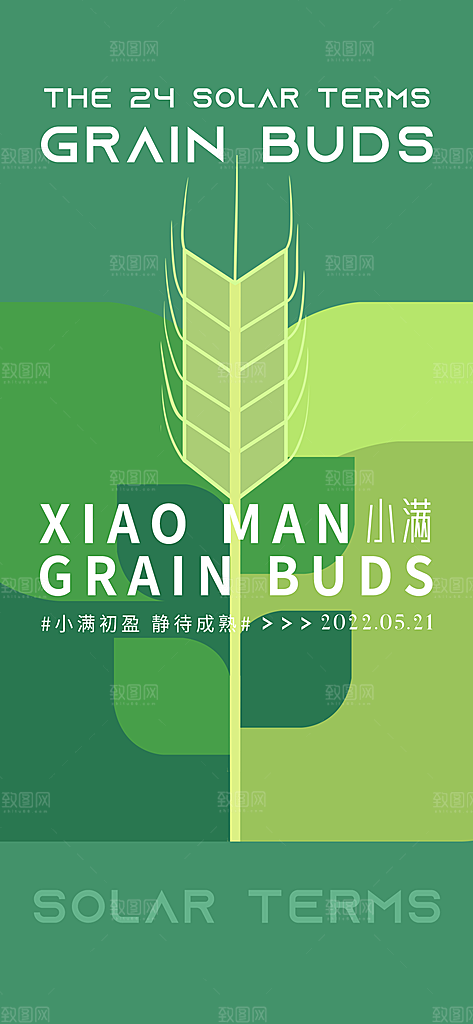 小满节气小满海报
