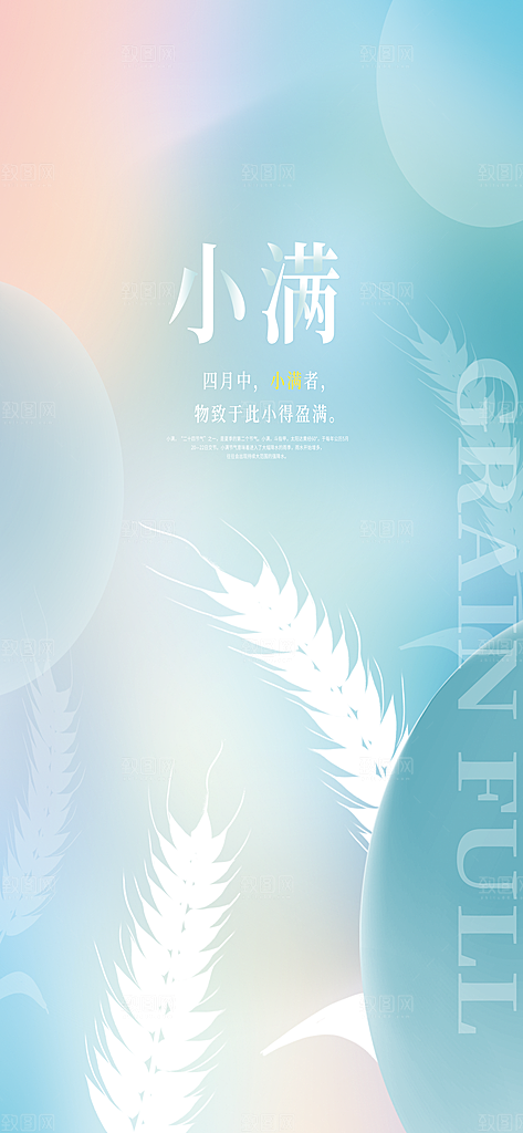 小满节气小满海报