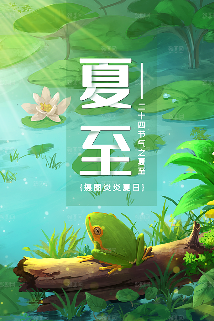 中国传统节气夏至海报模板