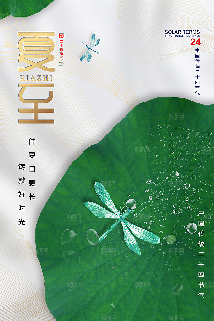 夏至节气简约大气海报