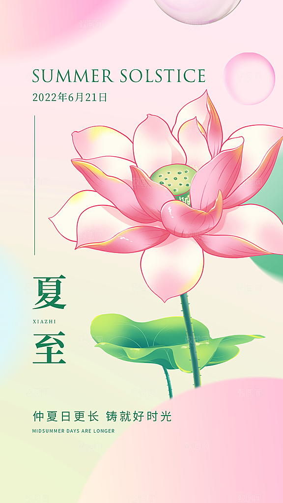夏至节气简约大气海报