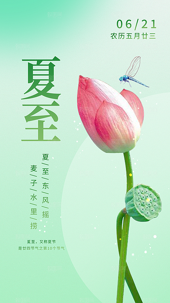 中国传统节气夏至海报模板