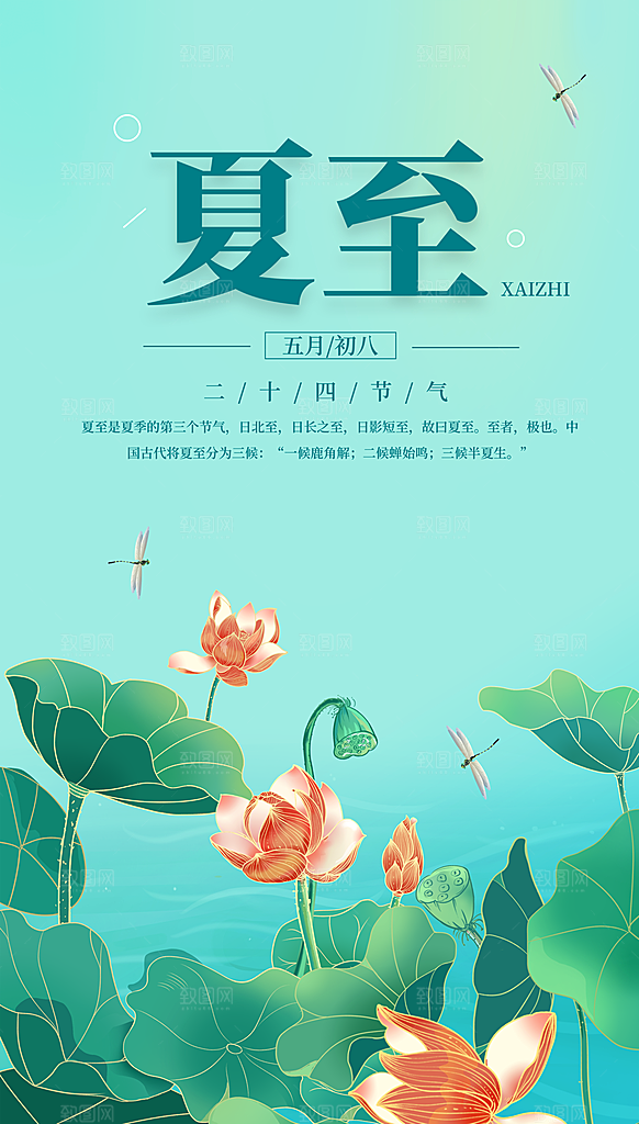 夏至节气简约大气海报