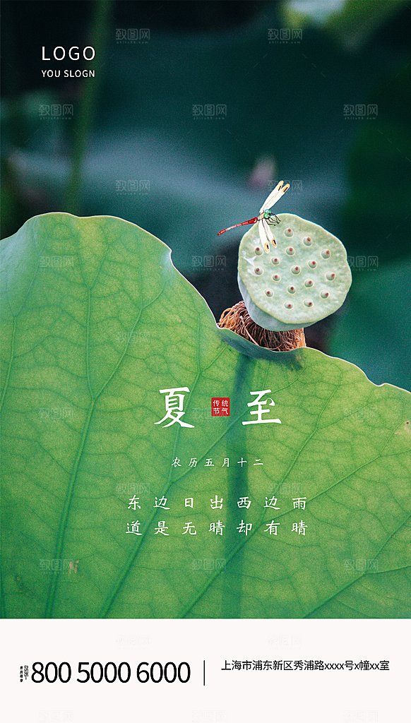 夏至节气简约大气海报