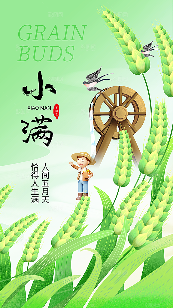 中国传统节气小满手机海报