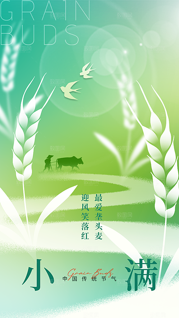 中国传统节气小满简约手机海报