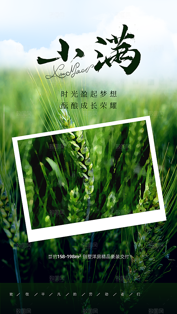 中国传统节气小满简约手机海报