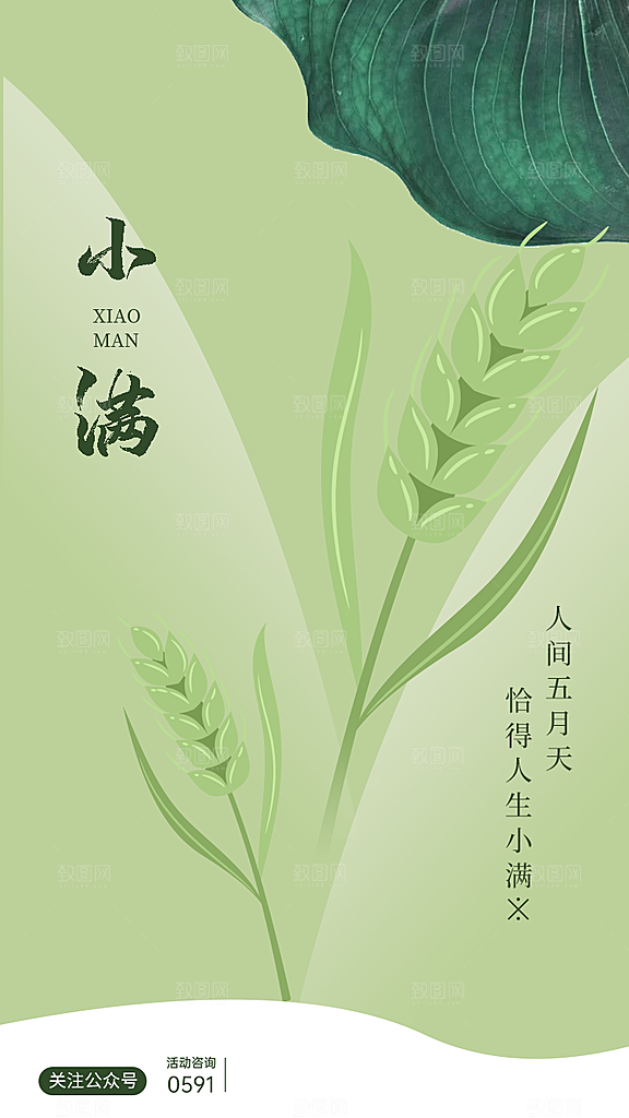 中国传统节气小满简约手机海报