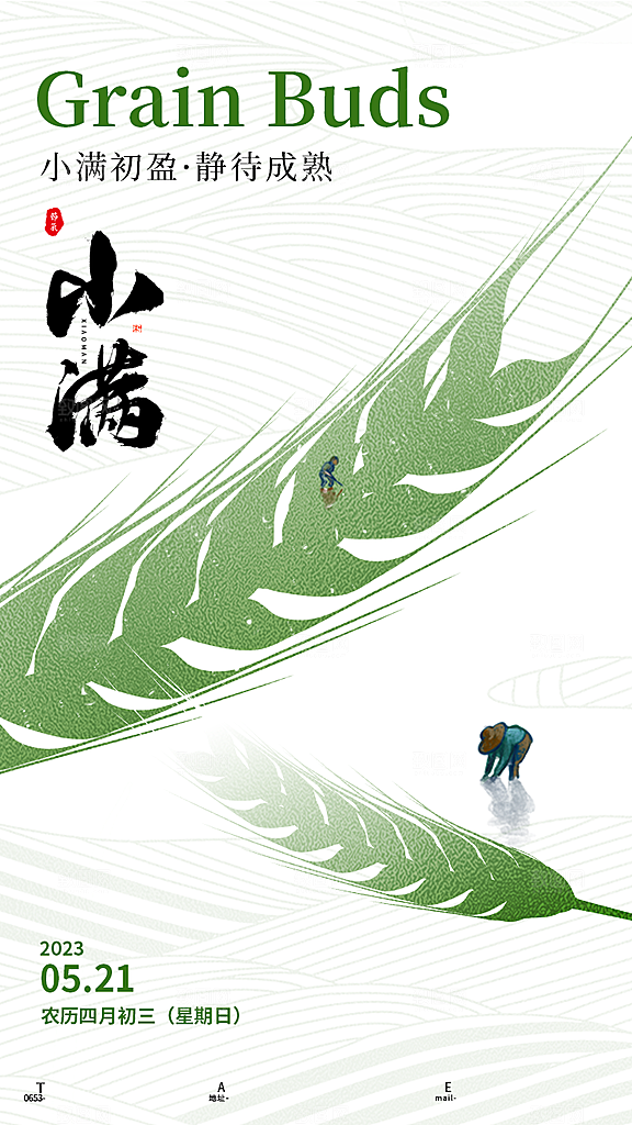 中国传统节气小满简约手机海报