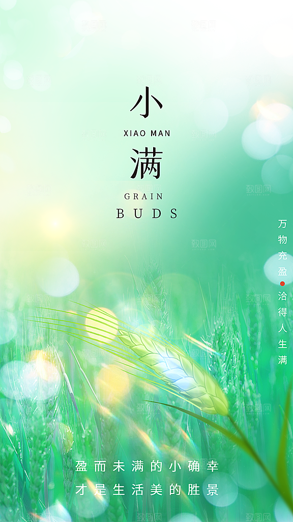 中国传统节气小满简约手机海报