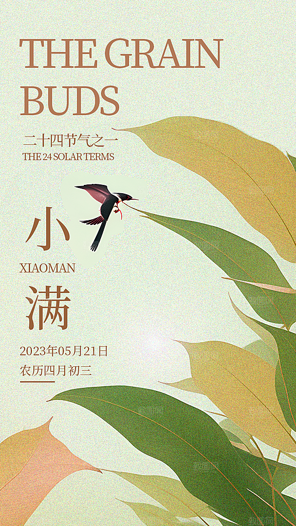 中国传统节气小满简约手机海报