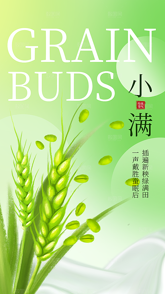 中国传统节气小满简约手机海报