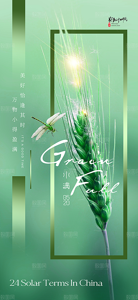 中国传统节气小满手机海报