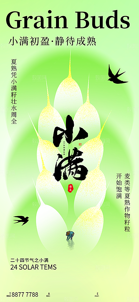 中国传统节气小满手机海报