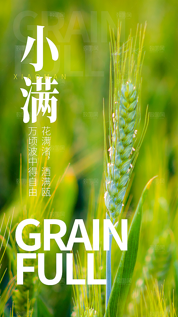 中国传统节气小满简约手机海报
