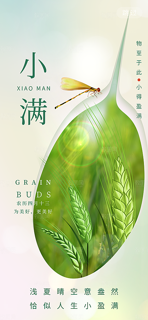 中国传统节气小满简约手机海报
