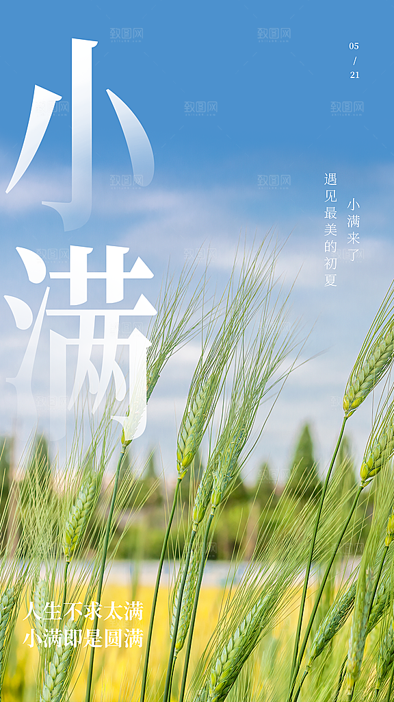 中国传统节气小满简约手机海报