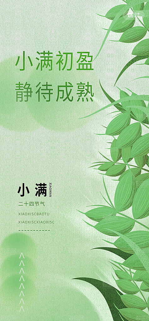 中国传统节气小满简约手机海报