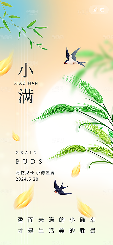 中国传统节气小满简约手机海报