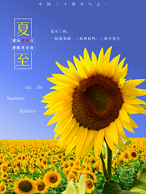 你好夏天夏至节气简约大气海报