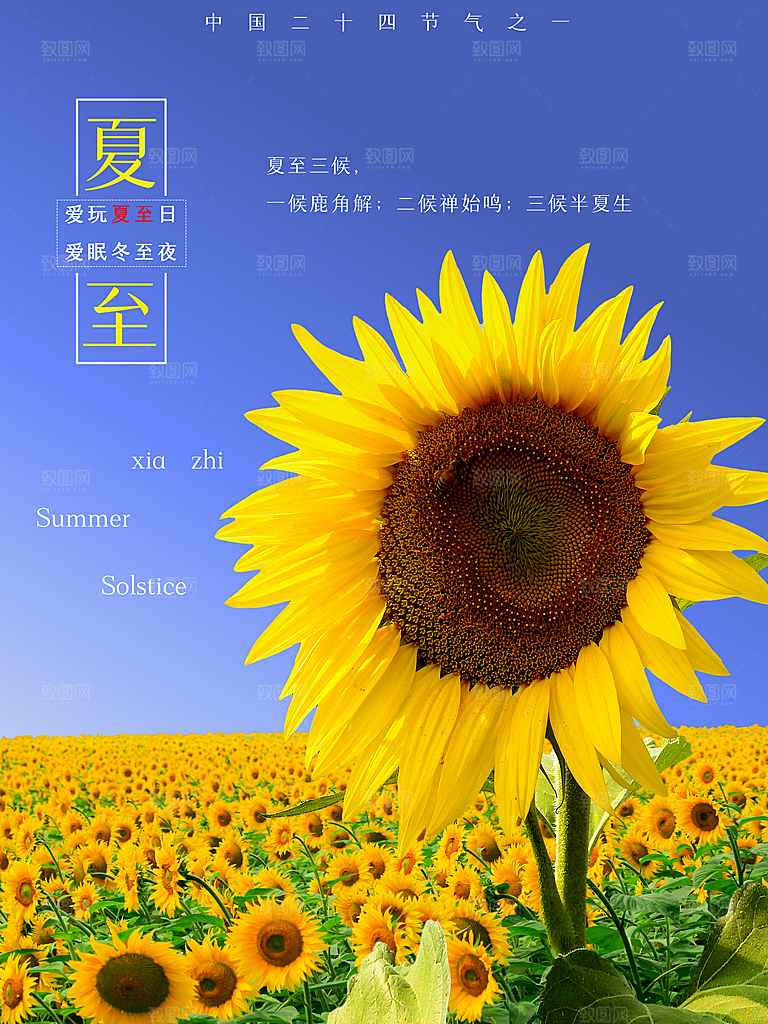 你好夏天夏至节气简约大气海报