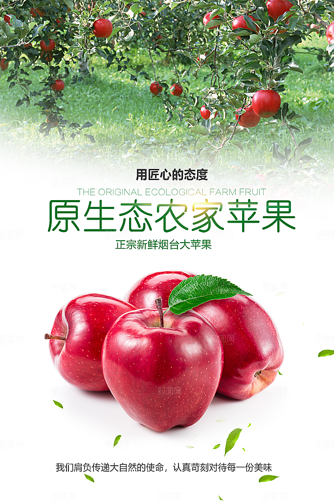 苹果海报设计广告素材