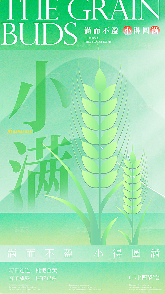 小满节气渐变小清新全屏海报