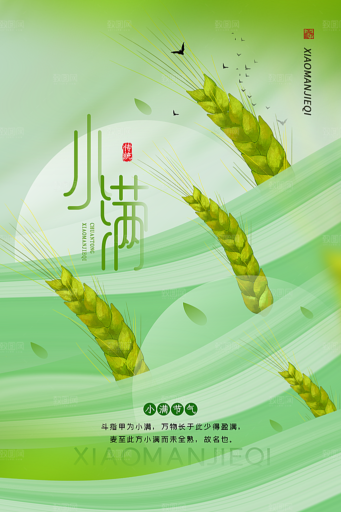 小满节气小清新海报