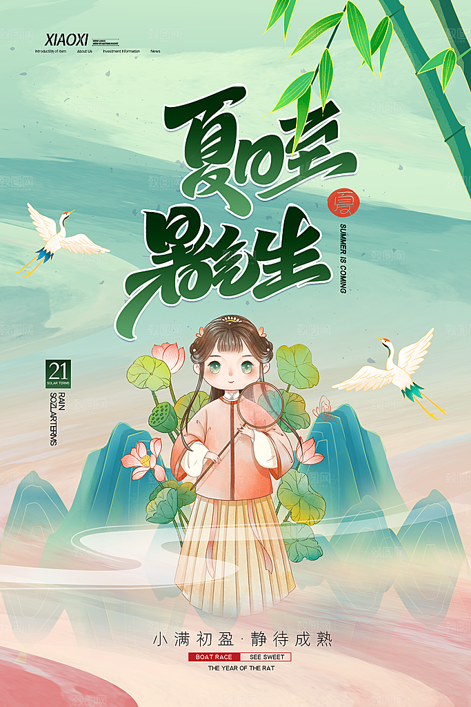 中国传统节气夏至海报模板