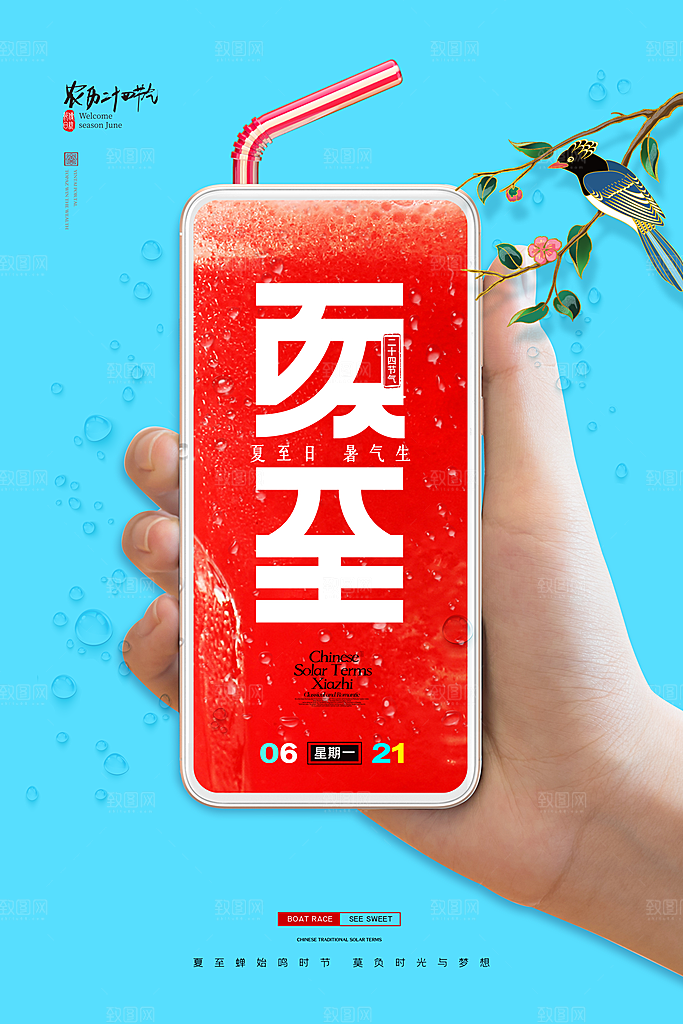 夏至节气简约大气海报
