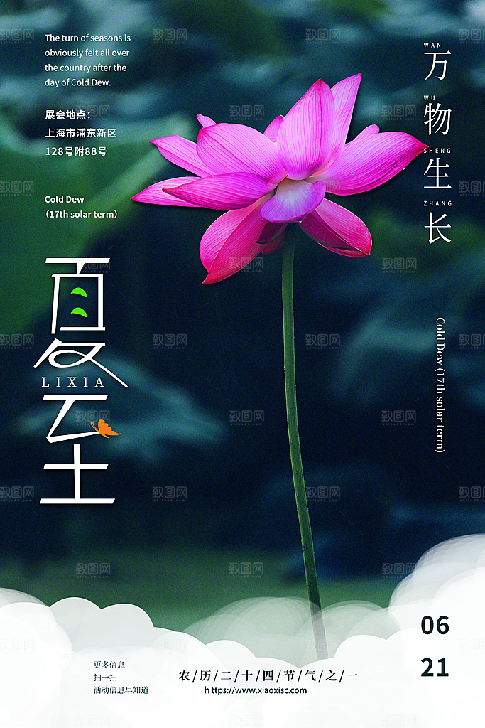 中国传统节气夏至海报模板