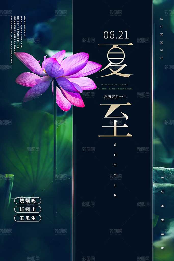 夏至节气简约大气海报