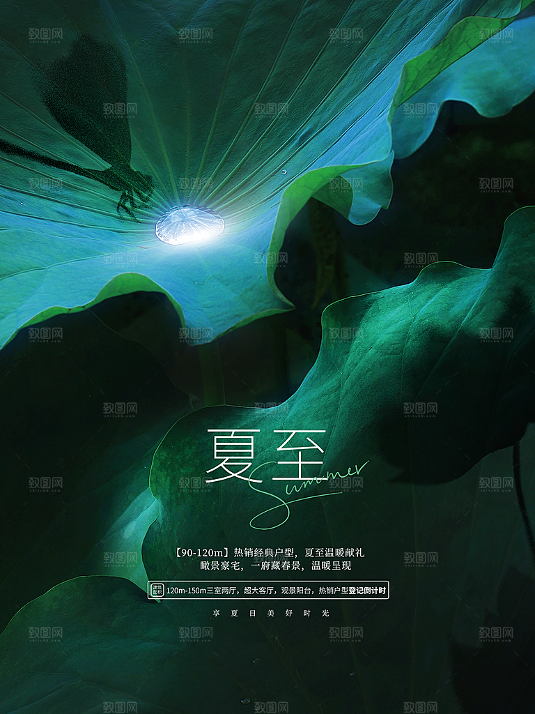 中国传统节气夏至海报模板