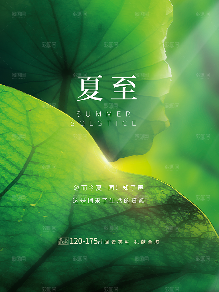 夏至节气简约大气海报