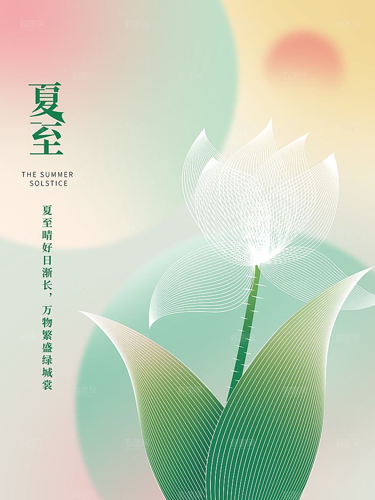 夏至节气简约大气海报