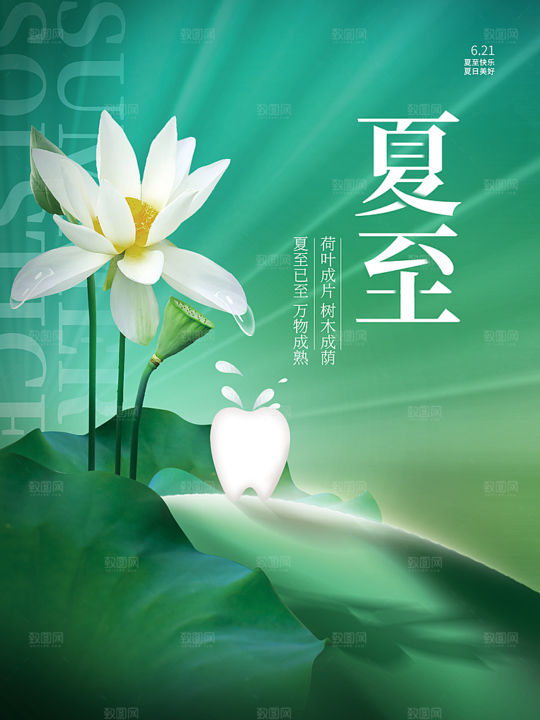 夏至节气简约大气海报