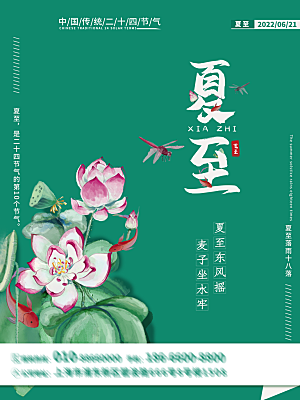 夏至节气简约大气海报