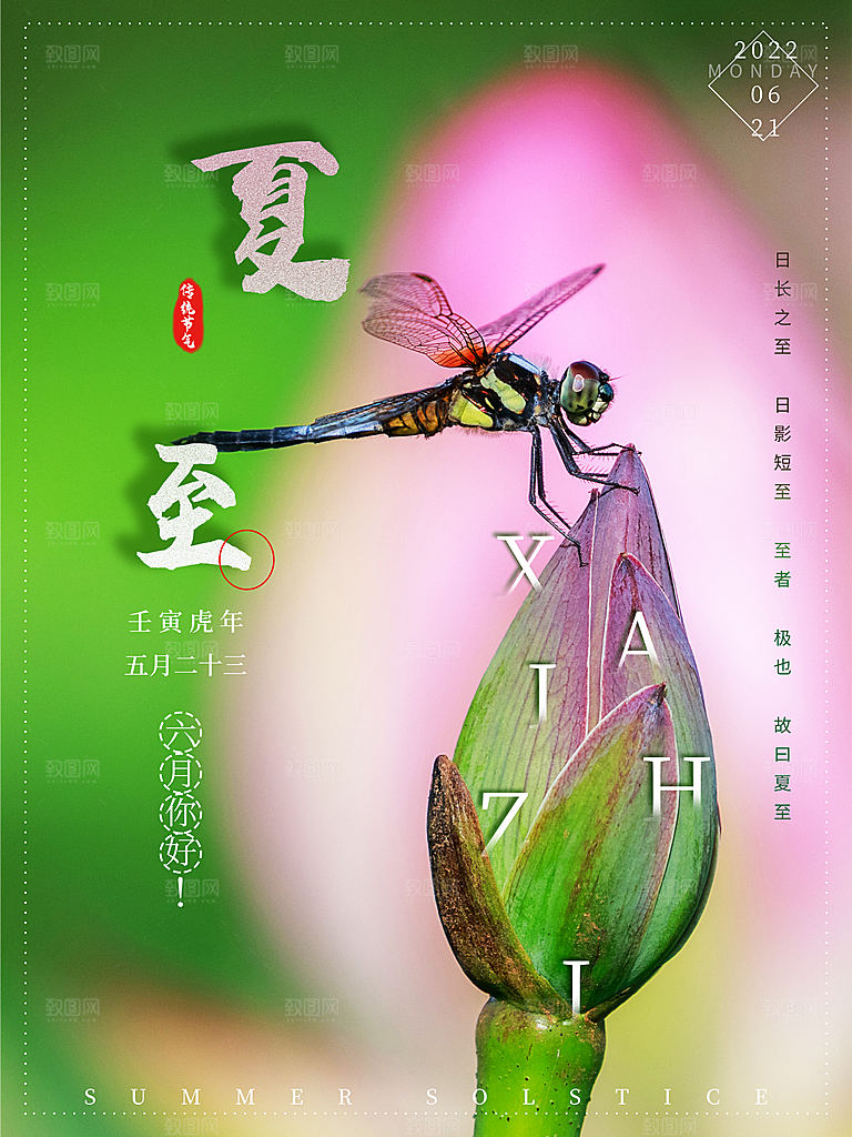 夏至节气简约大气海报