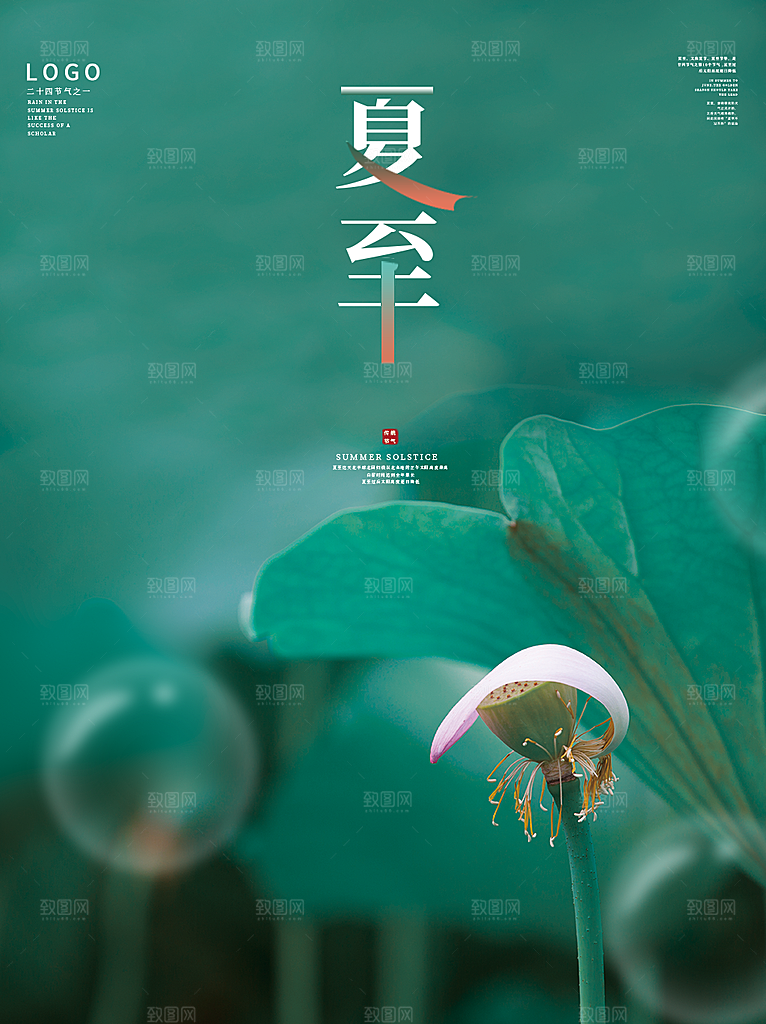 夏至节气简约大气海报