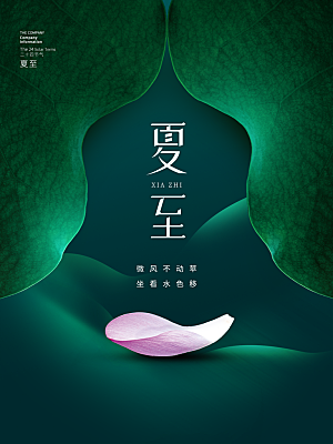 夏至节气简约大气海报