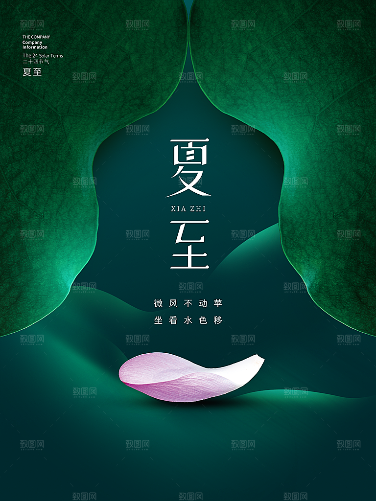 夏至节气简约大气海报