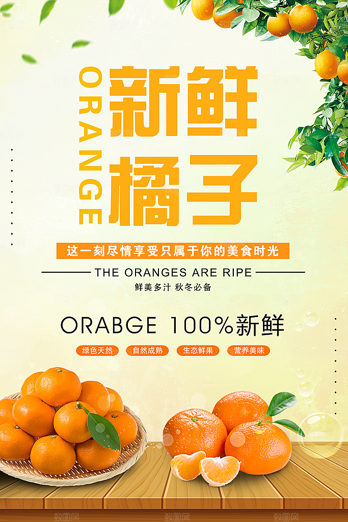 橘子蜜桔椪柑海报宣传展板