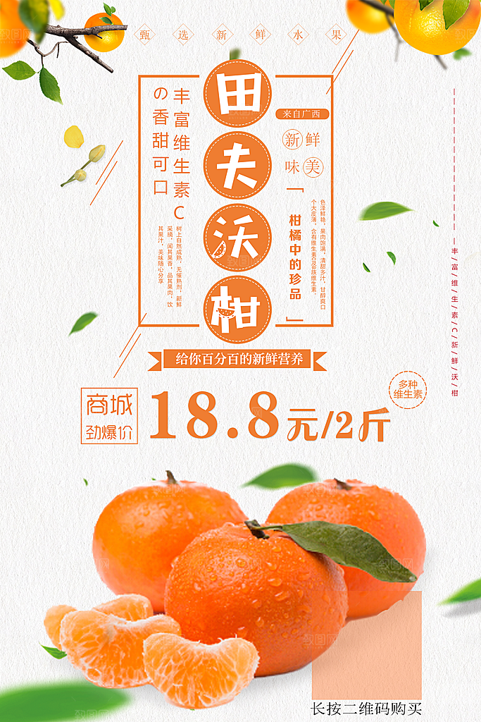 橘子蜜桔椪柑海报宣传展板