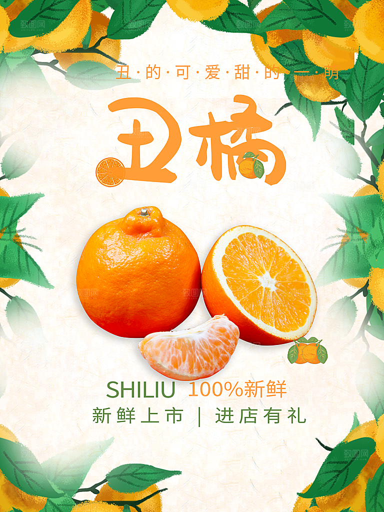 橘子蜜桔椪柑海报宣传展板素材