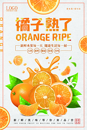 橘子蜜桔椪柑海报宣传展板素材