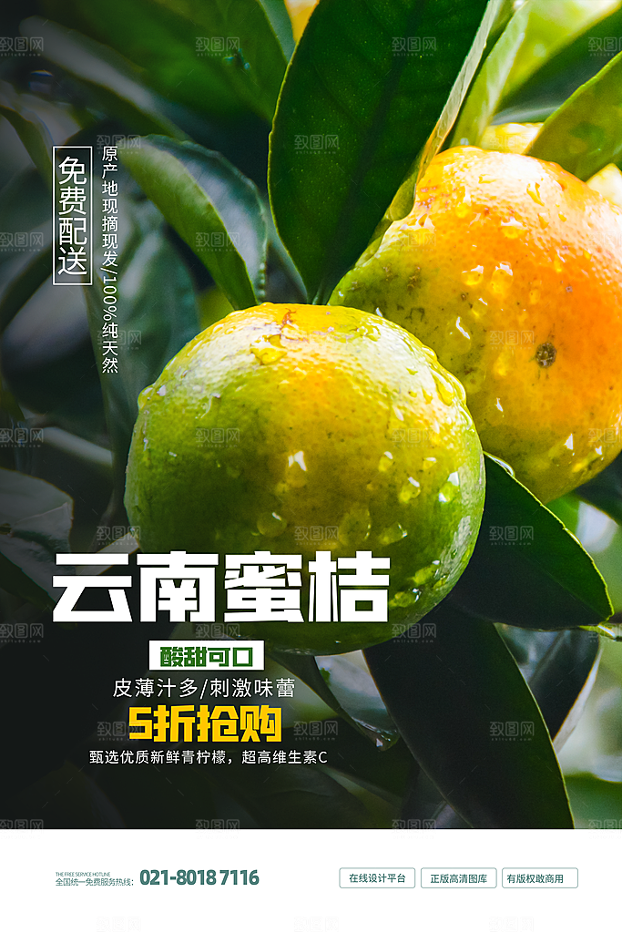 橘子蜜桔椪柑海报宣传展板素材