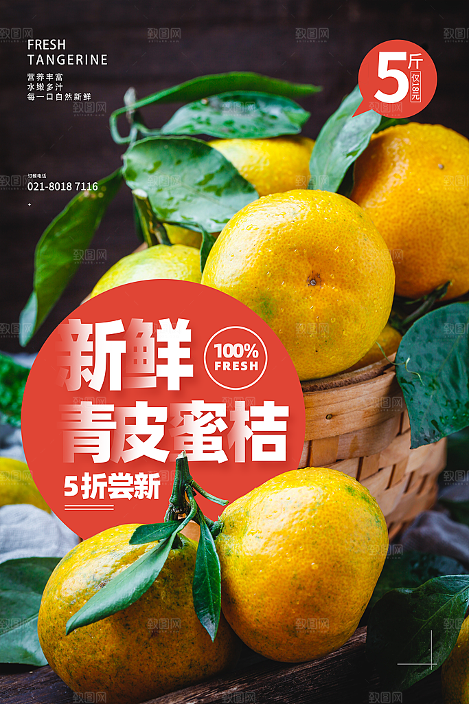 橘子蜜桔椪柑海报宣传展板素材